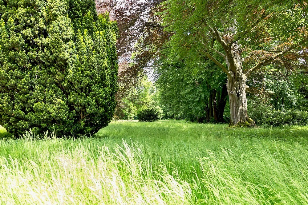 Castle garden